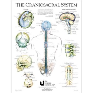sistemul cranio sacral